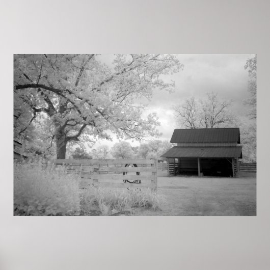 メドウバンクファーム ポスター (正面)