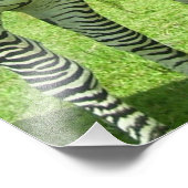 メドウビューに佇む三頭のシマウマ フォトプリント            (角)