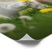 メドウファーベビー ポスター (角)