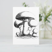 メドウマッシュルーム招待状 招待状 (スタンド正面)