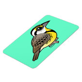 メドウラルク東部 マグネット (左側)