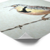 メドウラルク ポスター (角)