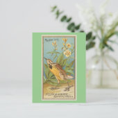 メドウラルク ポストカード (スタンド正面)