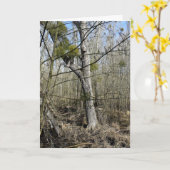 メドウランズ自然 カード (黄色い花)