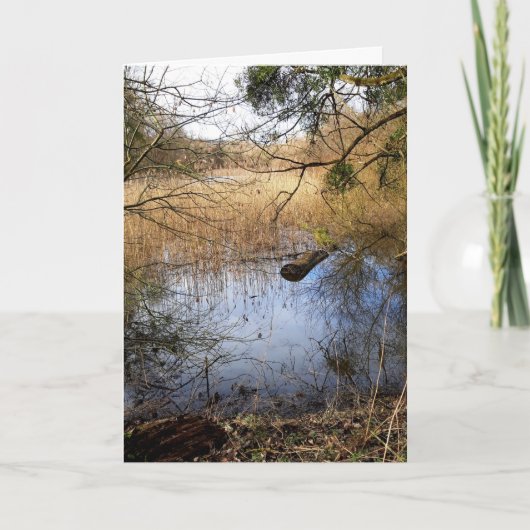 メドウランズ自然 カード (正面)