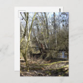 メドウランズ自然 ポストカード (正面/裏面)