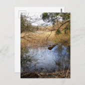 メドウランズ自然 ポストカード (正面/裏面)