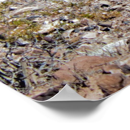 メドネバダ湖 ポスター (角)