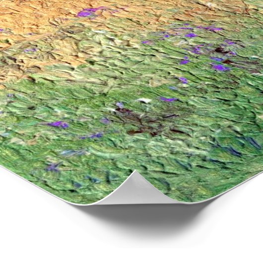 メドロシアのウ ポスター (角)