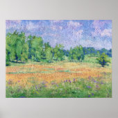 メドロシアのウ ポスター (正面)