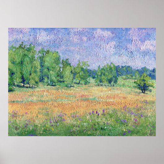 メドロシアのウ ポスター (正面)