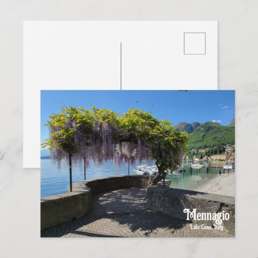 メナギオ藤 ポストカード (正面/裏面)