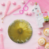 メナド ペーパープレート (パーティー)