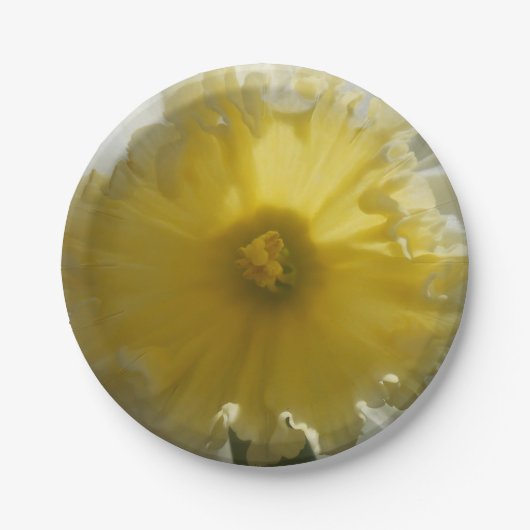 メナド ペーパープレート (正面)