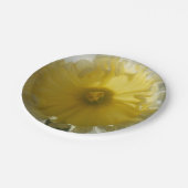 メナド ペーパープレート (アングル)