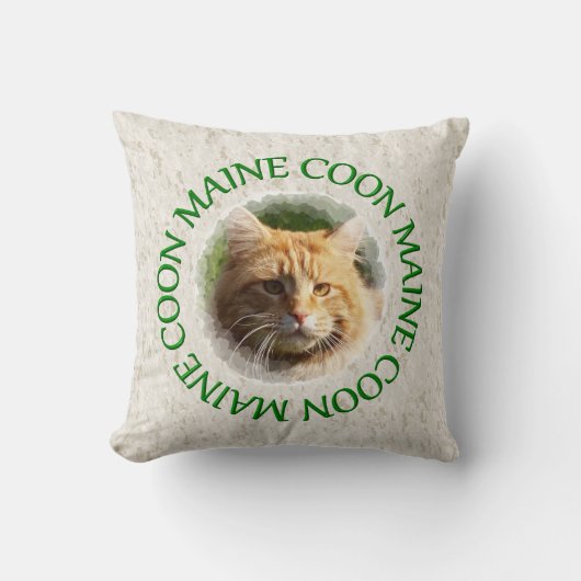 メヌクヌーン クッション (正面)