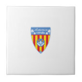 メノルカスペイン タイル (正面)