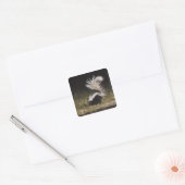 メフィストライプのティス・スカンク スクエアシール (封筒)