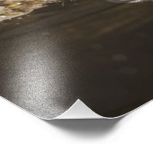 メフィストライプのティス・スカンク フォトプリント (角)