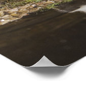 メフィストライプのティス・スカンク ポスター (角)