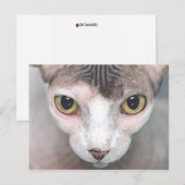 メフィスト ポストカード (正面/裏面)