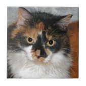 メムー タイル (正面)