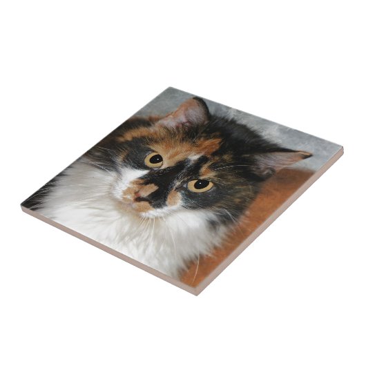 メムー タイル (側面)