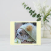 メモの郵便はがきの英国のブルドッグの子犬 ポストカード (スタンド正面)