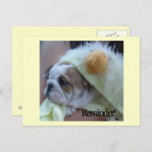 メモの郵便はがきの英国のブルドッグの子犬 ポストカード (正面/裏面)