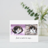 メモを… ポストカード (スタンド正面)