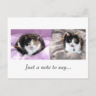 メモを… ポストカード