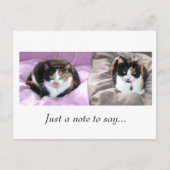 メモを… ポストカード (正面)