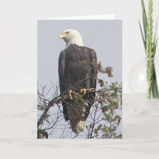 メモカード カード (正面)