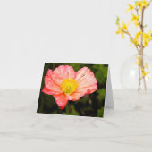 メモカ空白のード-ポピー カード (黄色い花)