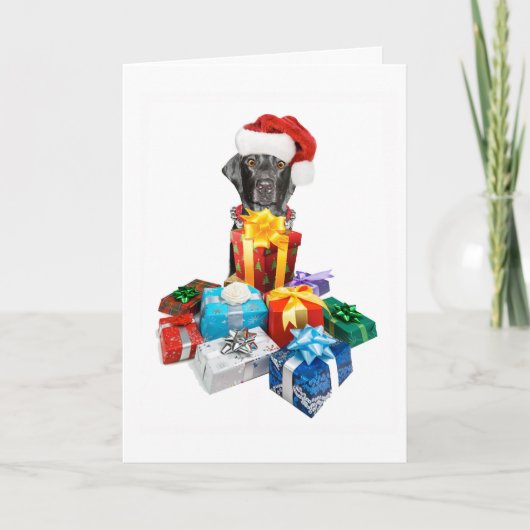 メモリの選択グリーティングカード シーズンカード (正面)