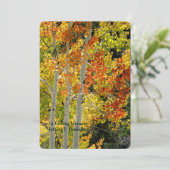 メモリアルお祝いライフ《植物》アスペン秋 招待状 (スタンド正面)