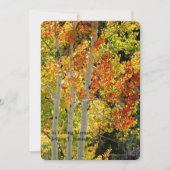 メモリアルお祝いライフ《植物》アスペン秋 招待状 (正面)