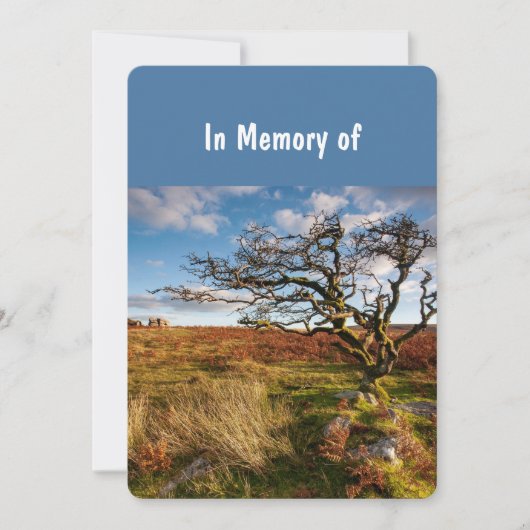 メモリアルサービス招待状ビューティフルデザートサバンナ 招待状 (正面)