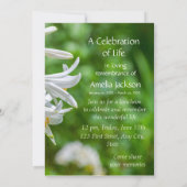 メモリアルサービス招待状ホワイトリリー花 招待状 (裏面)