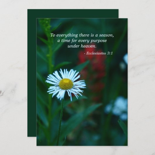 メモリアルサービス招待状、聖なる書物、 経典引用文 招待状 (正面/裏面)