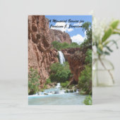 メモリアルサービス、滝、赤い崖の南西 招待状 (スタンド正面)