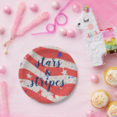 メモリアルデースターとストライプ愛国国旗 ペーパープレート (パーティー)