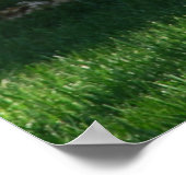 メモリアルデー ポスター (角)