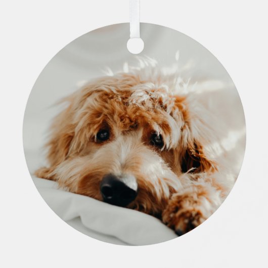 メモリアルポープリント2フォトペットクリスマス メタルオーナメント (裏面)