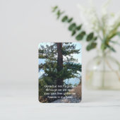 メモリアル写真祈りの言葉オールドツリーフォレストワイルダネス 名刺 (スタンド正面)