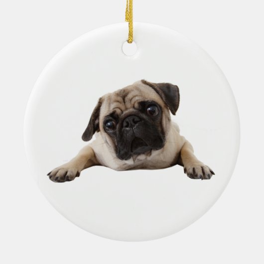 メモリアル形獣犬ペット動物陶磁器オーナメント セラミックオーナメント (裏面)