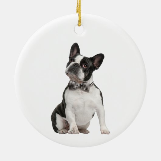 メモリアル形獣犬ペット動物陶磁器オーナメント セラミックオーナメント (裏面)