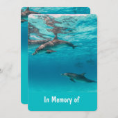 メモリアル招待状ドルフィンズ水中海 招待状 (正面/裏面)