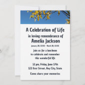 メモリアル招待状レイクツリーズモーニングシーン 招待状 (裏面)