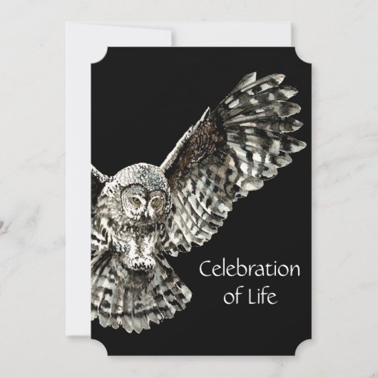 メモリアル招待状男らしフクロウ鳥画 招待状 (正面)